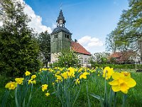 Kirche St. Georg Meinersen 4